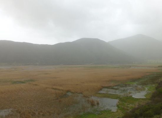 Λίμνη Στυμφαλίας, ένας απέραντος καλαμιώνας.